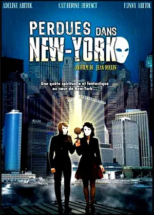 Lost in New York poster