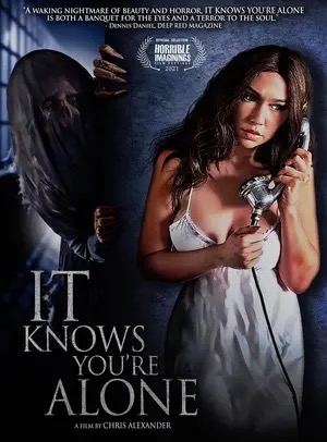 Poster of It Knows You’re Alone