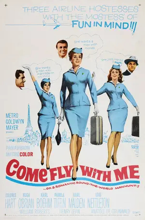 Poster of Come Fly with Me