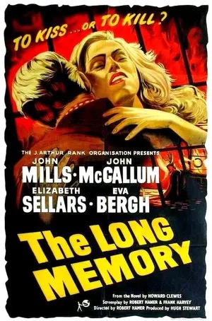 Poster of The Long Memory
