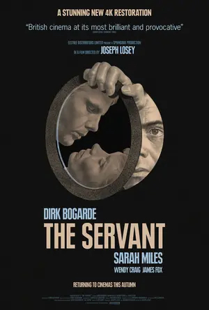 Poster of The Servant