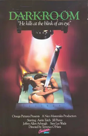 Poster of Darkroom